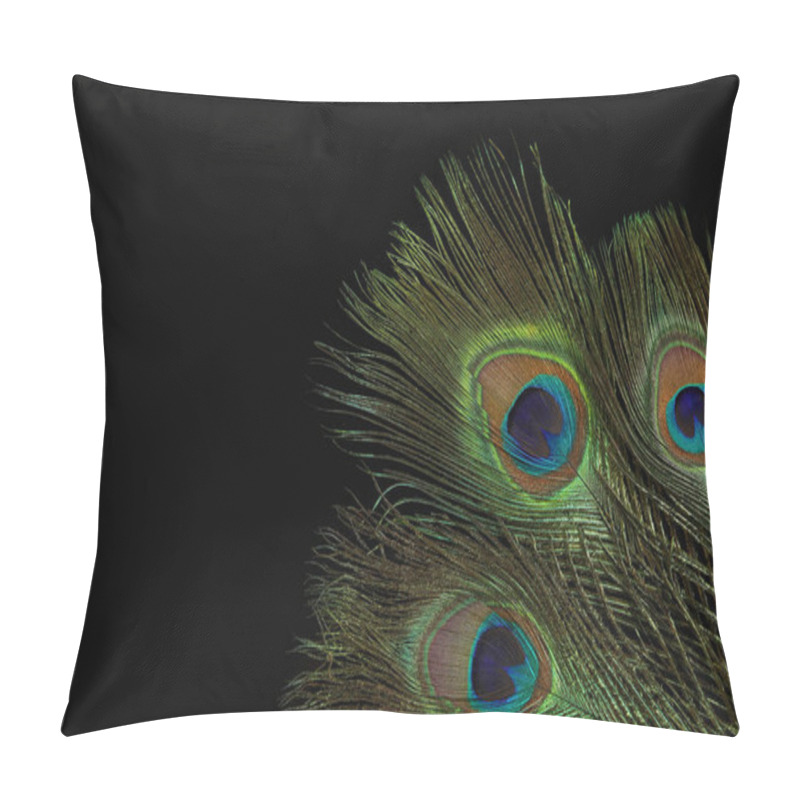 Personality  Beautiful Bright Peacock Feathers On Black Background. Space For Text Pillow Covers