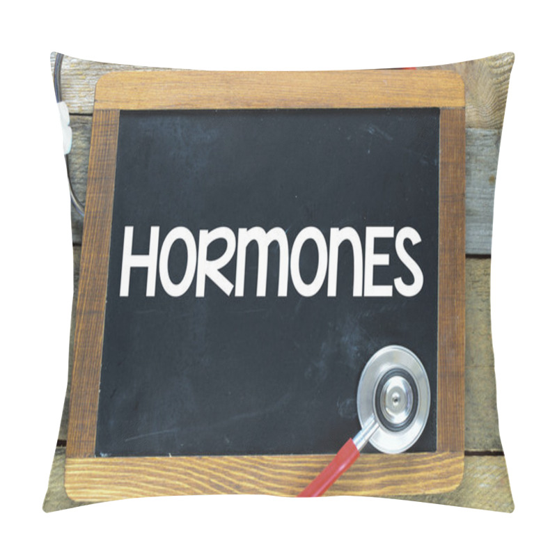 Personality  Hormones Inscription On A Blackboard Pillow Covers