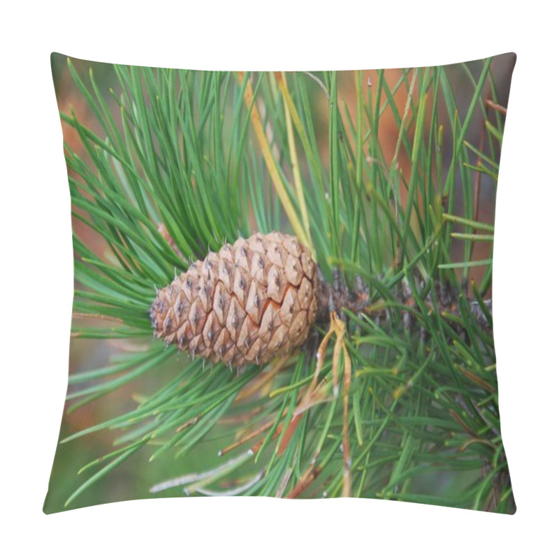 Personality  Close Up Photo Of A Pine-cones Pillow Covers