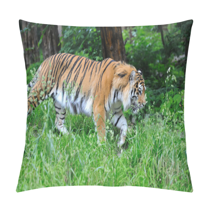 Personality  Tiger Pillow Covers