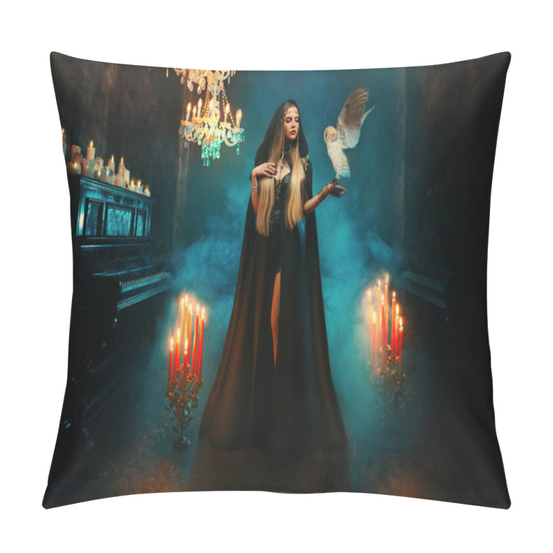 Personality  Art Photo Real Fantasy Gothic Woman Holding White Barn Owl Birds Flies Flap Wings. Fantasy Lady Elf Blonde Hair Sexy Girl With Wild Bird. Dark Room Blue Smoke Black Dress Cape Hood Candles Light Piano Pillow Covers