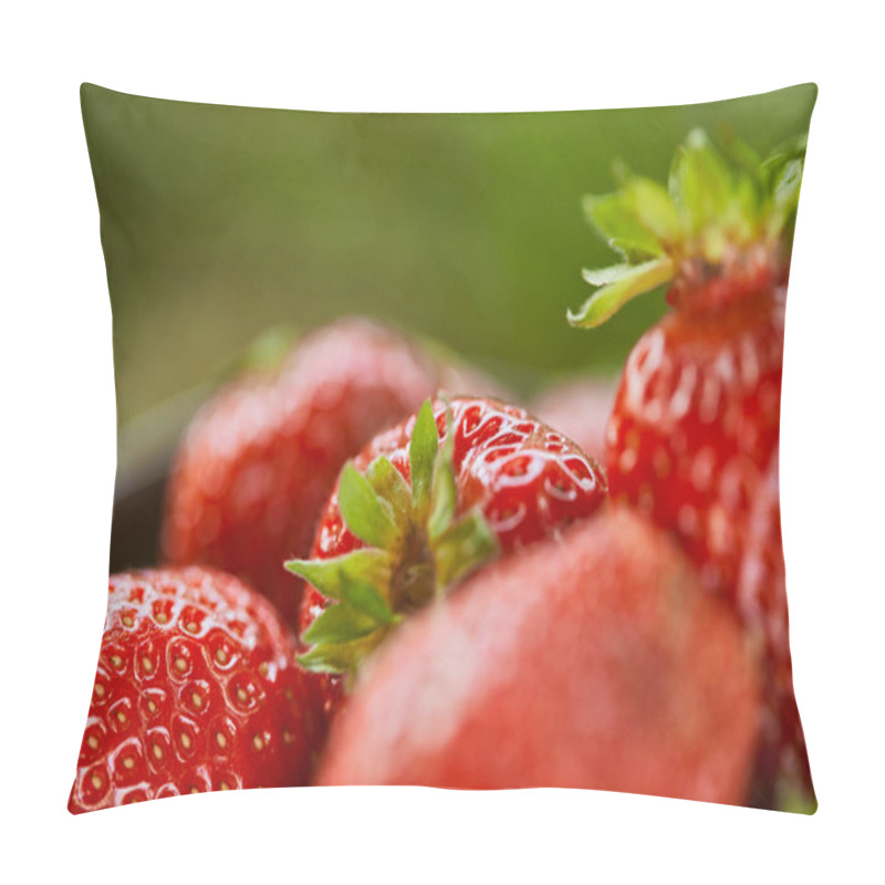 Personality  Selective Focus Of Raw Red Strawberries On Green Grass  Pillow Covers