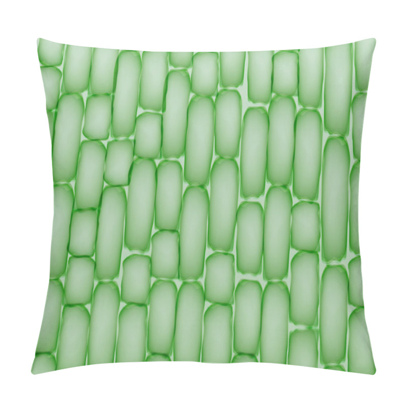 Personality  Plant Cells,Tissue Pattern - Vector Illustration Pillow Covers