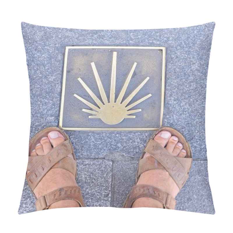 Personality  Pilgrimage To Santiago. Pillow Covers