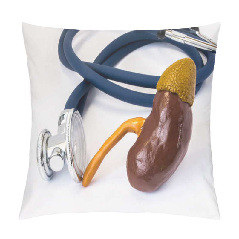 Personality  Anatomical Shape Of Kidney And Adrenal Gland Near The Stethoscope, Which Examines It. Concept Photo For Exam Or Test, Diagnosis And Treatment Of Disease, Disorder Or Other Health Problems Of Kidney Pillow Covers