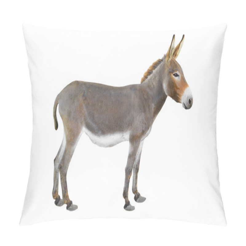 Personality  Donkey  Pillow Covers