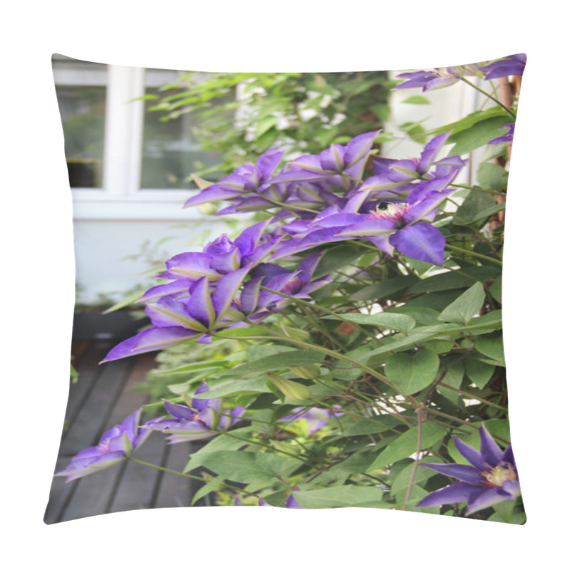 Personality  Beautiful Modern Terrace With A Lot Of Flowers Pillow Covers