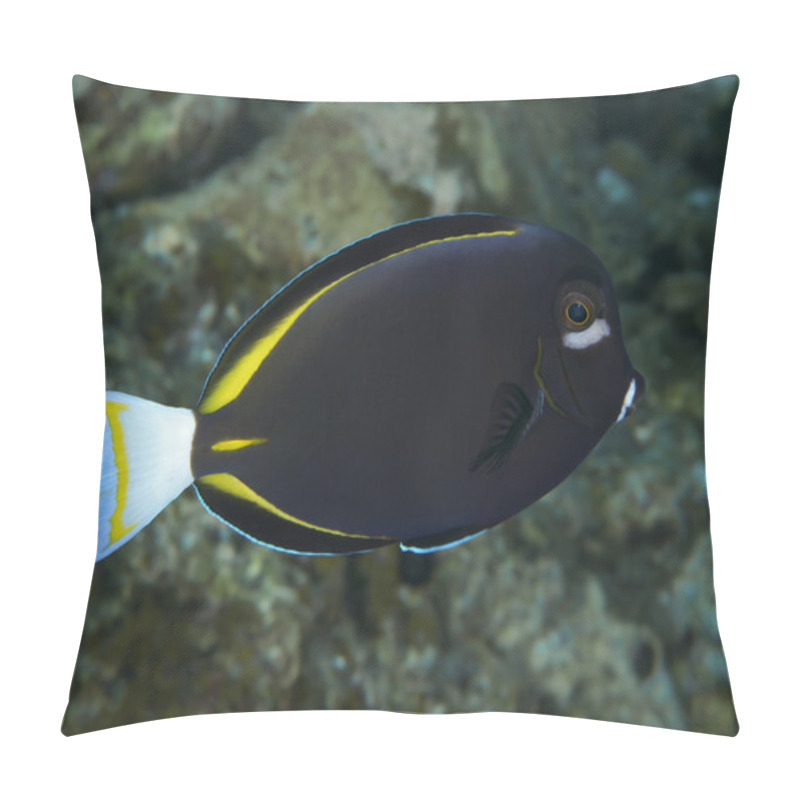 Personality  Coral fish Whitecheek surgeonfish pillow covers