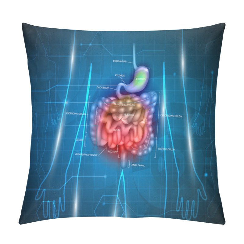 Personality  Gastrointestinal Tract Abstract Background Pillow Covers