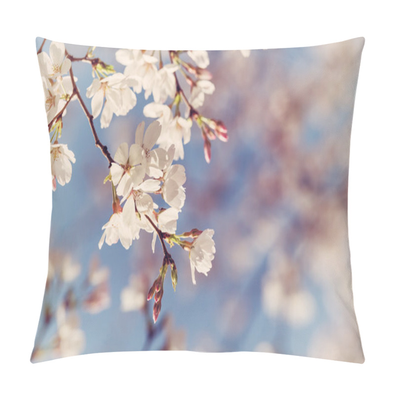 Personality  Closeup Of Cherry Tree Blossoms In The Spring Pillow Covers