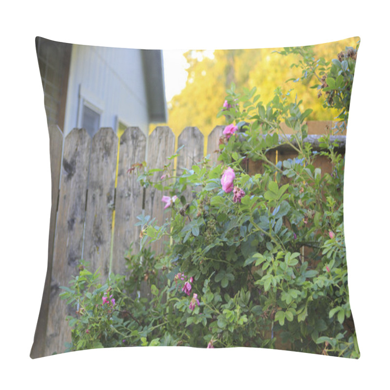 Personality  Flourishing Roses Complete Backyard View Pillow Covers