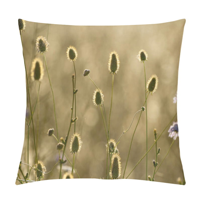 Personality  Close Up Of Wildflower Field In Springtime At Daytime  Pillow Covers