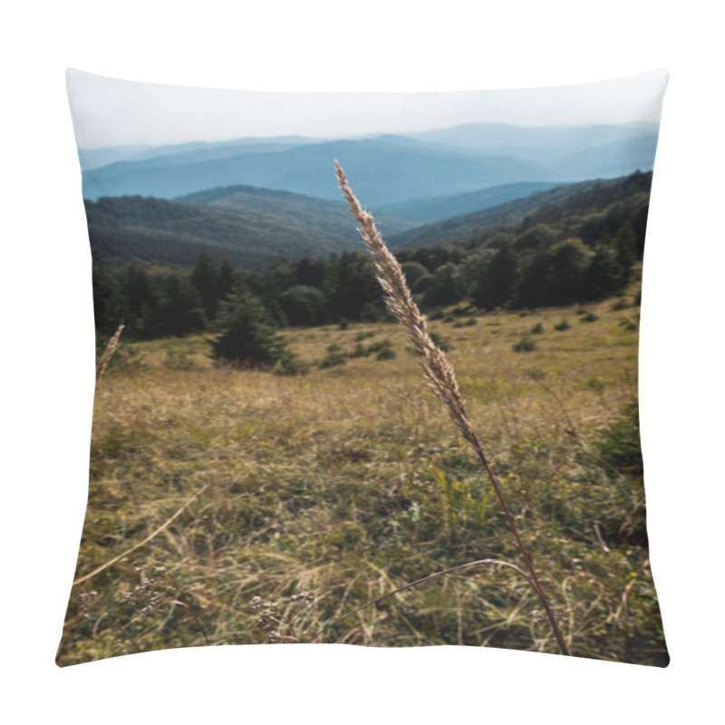 Personality  Selective Focus Of Barley Near Mountains With Green Trees  Pillow Covers