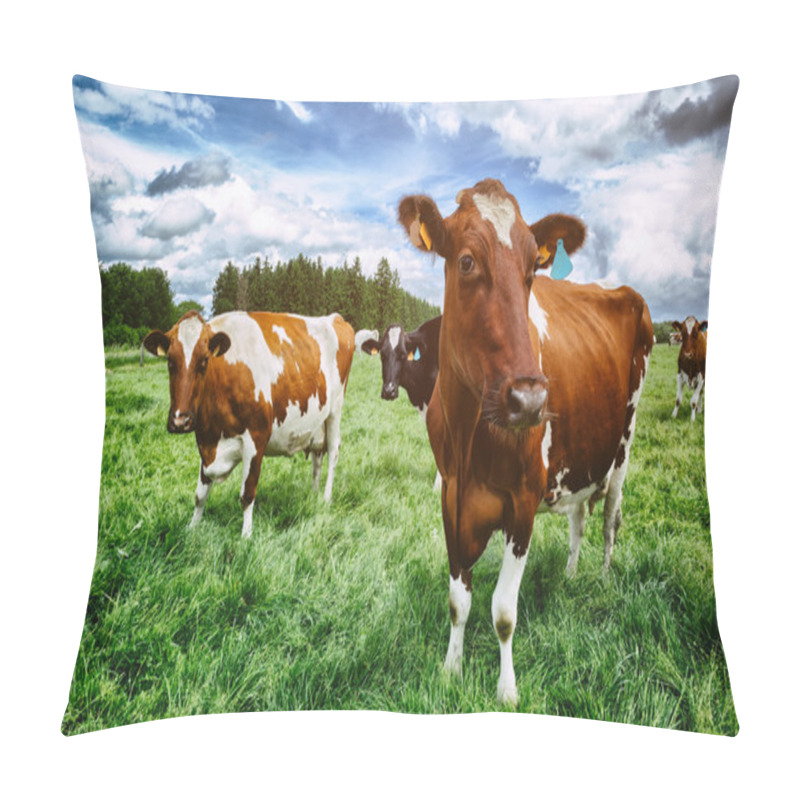 Personality  Herd Of Cows At Green Field Pillow Covers