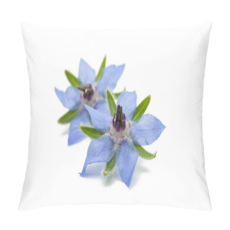 Personality  Blue Borage Flower  Pillow Covers