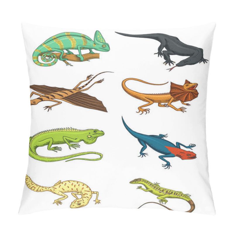 Personality  Chameleon Lizard, Green Iguana, Komodo Dragon Monitor, American Sand, Exotic Reptiles Or Snakes, Spotted Fat-tailed Gecko. Wild Animals Lacertian In Nature. Vector Illustration. Engraved Hand Drawn. Pillow Covers