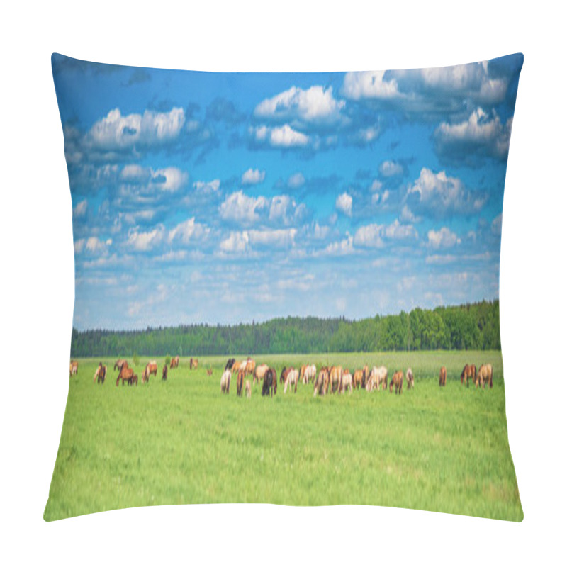 Personality  A Herd Of Horses Grazes On A Summer Pasture, Under Blue Skies And Beautiful Clouds. Pillow Covers