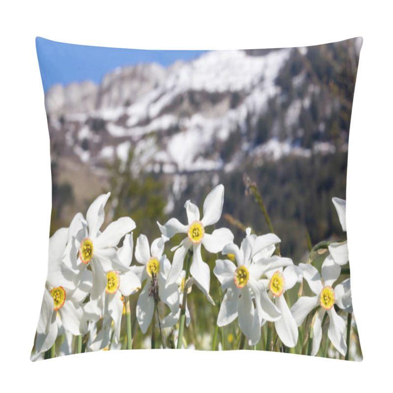 Personality  Wild Narcissus Flower (narcissus Poeticus) With Snow-capped Swiss Alps Mountain At The Background, Montreux Riviera Regions Over Geneva Lake Pillow Covers