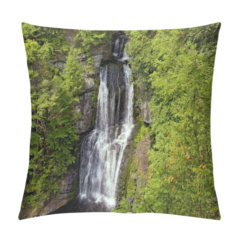 Personality  Bushkill Falls Pillow Covers