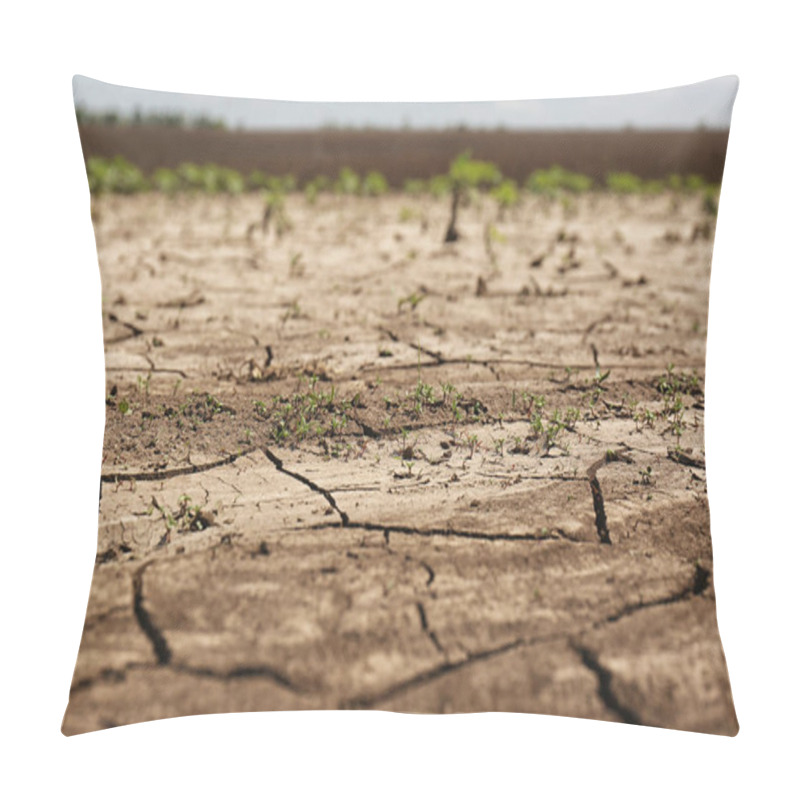 Personality  View Of Cracked Ground Surface On Sunny Day Pillow Covers