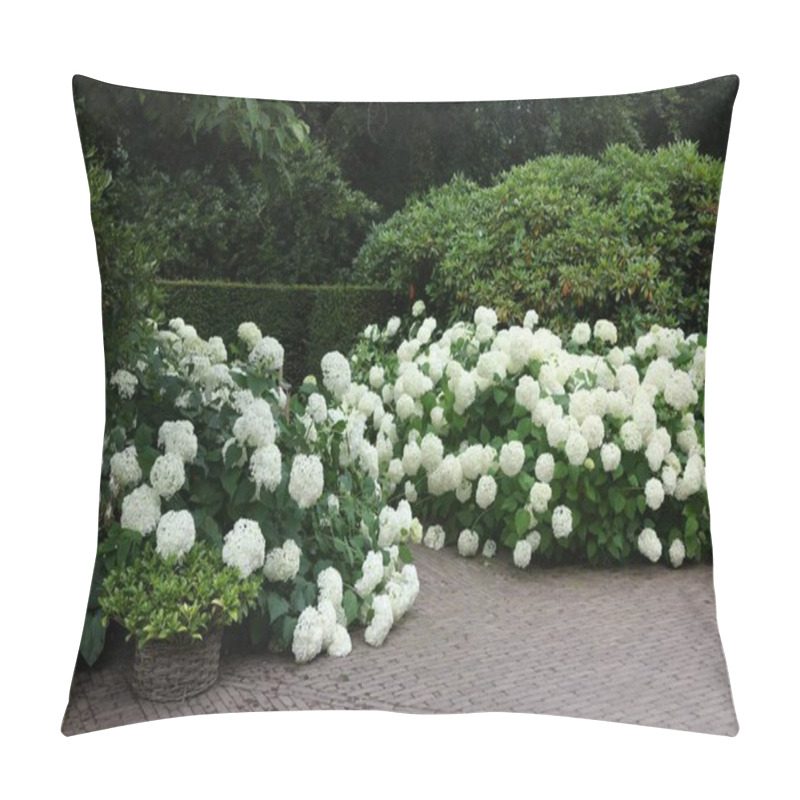 Personality  Lovely Garden With Blooming Hydrangeas And Pavement. Landscape Design Pillow Covers