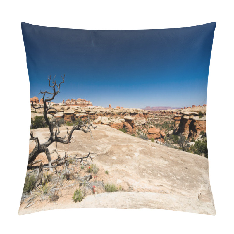 Personality  Desert Landscape Pillow Covers