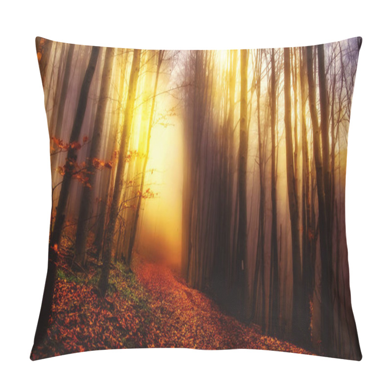 Personality  Mystical Lights In The Forest Pillow Covers