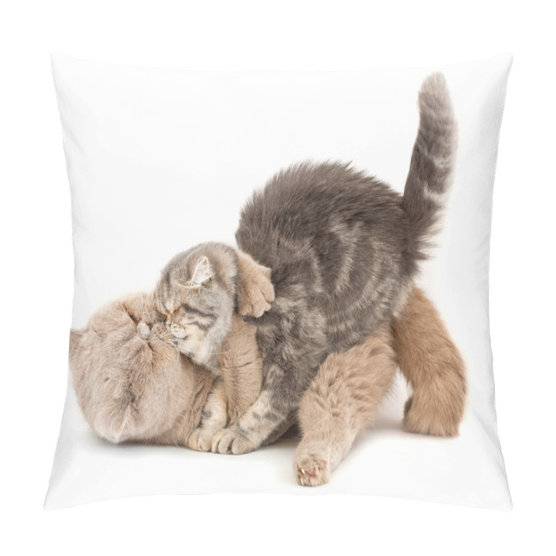 Personality  Cats Kissing Pillow Covers