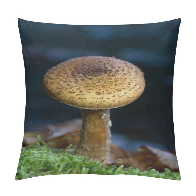 Personality  Armillaria Ostoyae (synonym Armillaria Solidipes) Is A Species Of Fungus, Pathogenic To Trees, In The Family Physalacriaceae. Pillow Covers