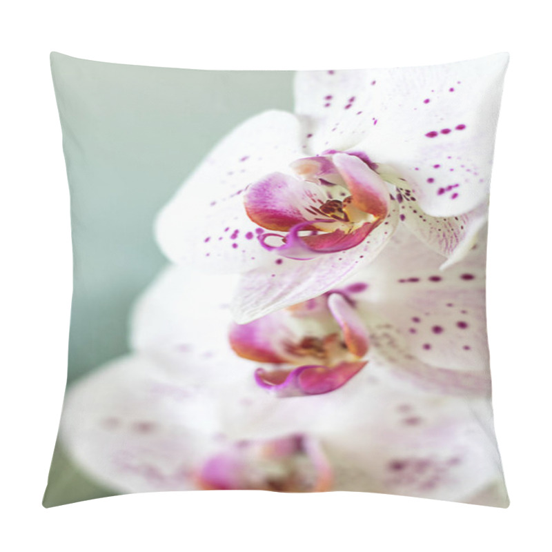 Personality  Elegant White Orchids With Delicate Pink Spots Captured In Close-up Detail. Pillow Covers