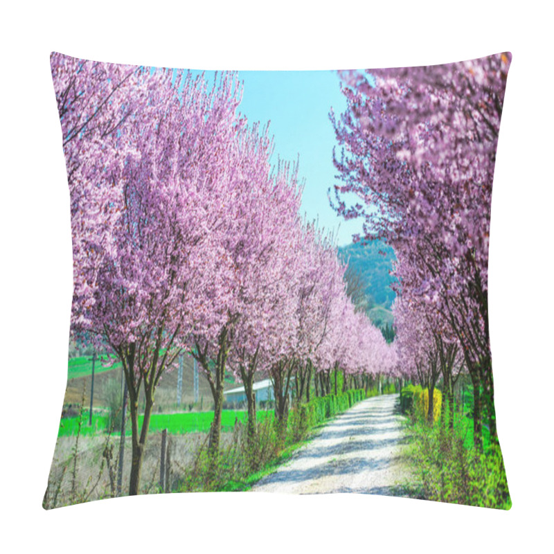 Personality  Garden With Blooming Sakura Trees In Spring Pillow Covers