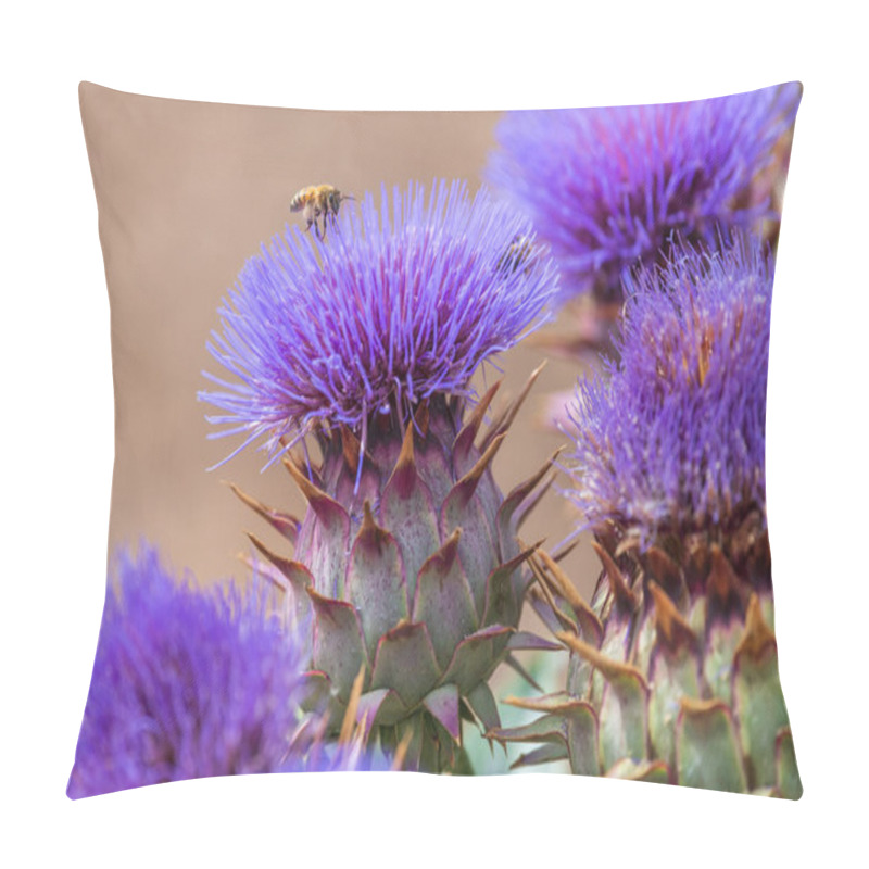 Personality  Close-up Image Of Blooming Purple Cactus Flowers With A Honeybee Collecting Nectar. Pillow Covers