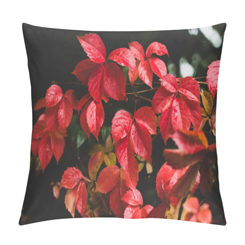 Personality  Red Vine Leaves Soaked In Rain In Turkey Pillow Covers