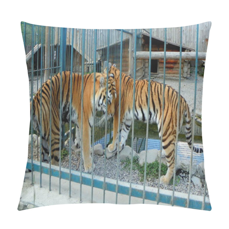 Personality  Ukraine, Transcarpathia, Synevyrska Polyana, Ecopark Valley Of The Wolves, Tigers Pillow Covers