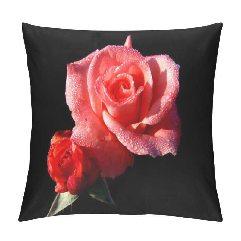 Personality  Rose Flower On A Black Background Pillow Covers