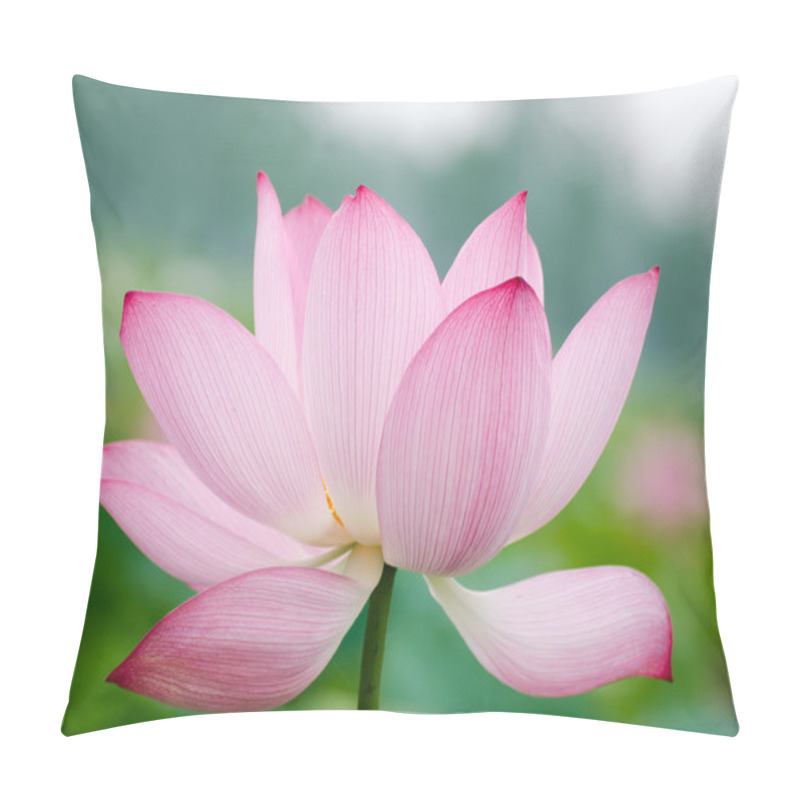 Personality  Pink Lotus In Summer Pillow Covers