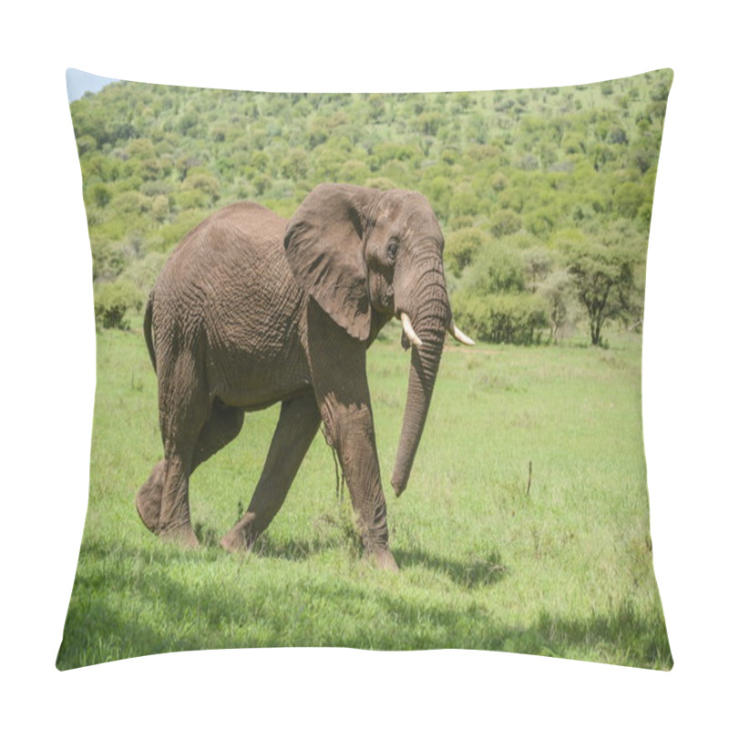 Personality  Elephant Pillow Covers