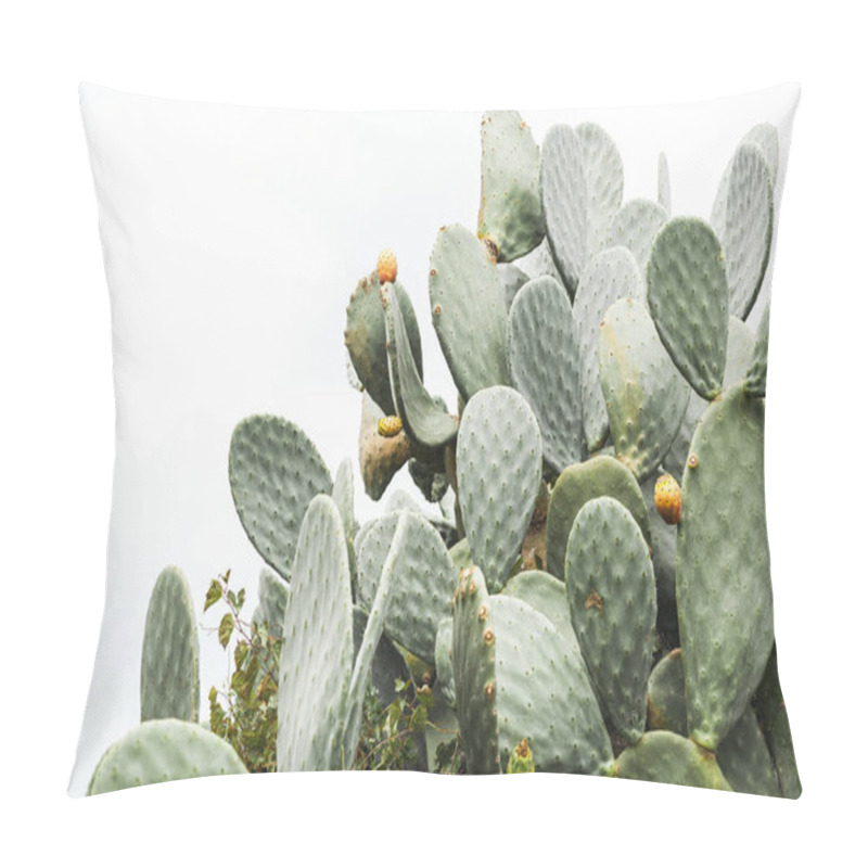 Personality  Green Prickly Pear Cactus With Spikes In Italy  Pillow Covers