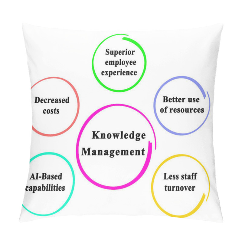 Personality  Five Components Of Knowledge Management Pillow Covers