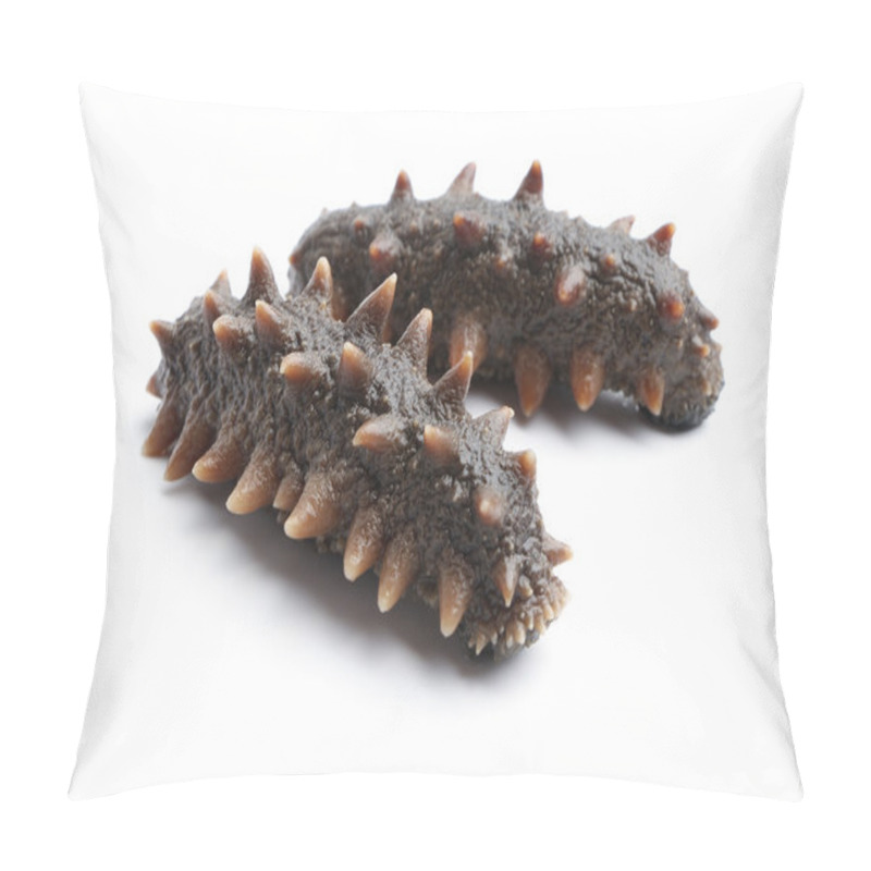 Personality  Sea Cucumber Pillow Covers