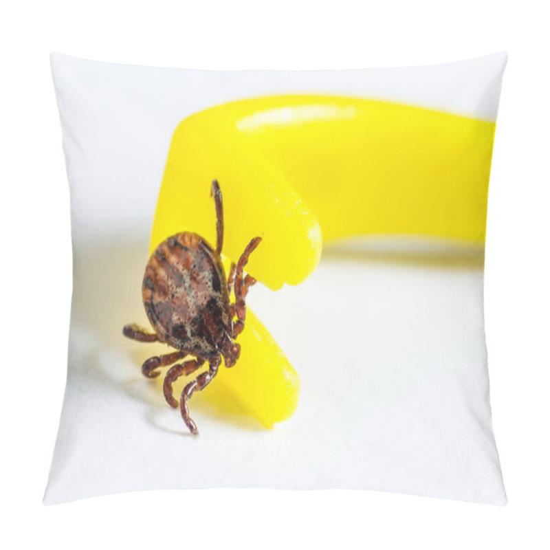 Personality  Mite Crawls On Yellow Tweezers To Remove Ticks On A White Background Pillow Covers