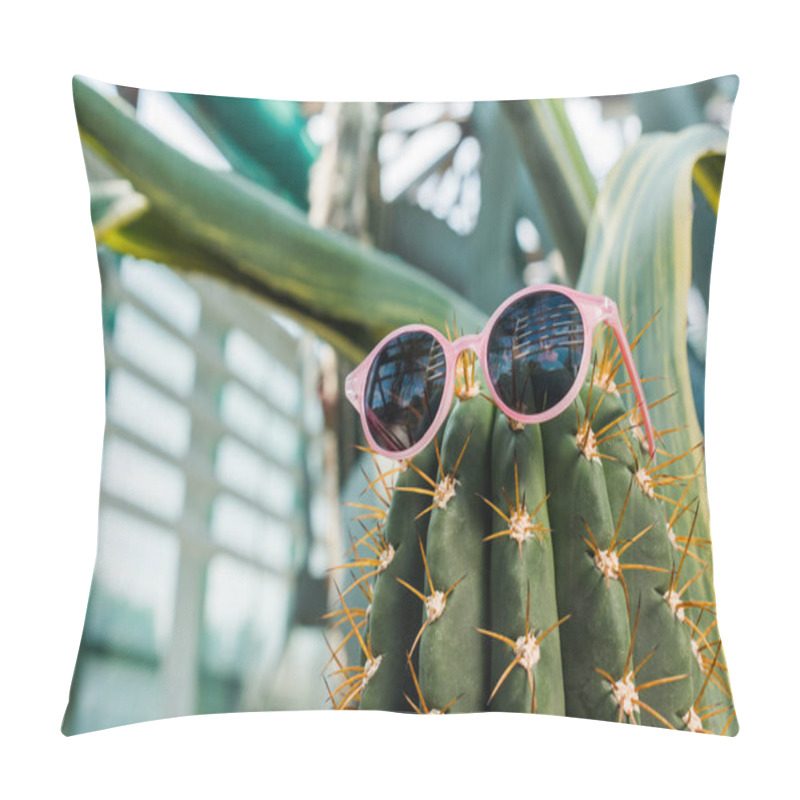 Personality  Close-up View Of Beautiful Green Cactus With Stylish Sunglasses In Greenhouse    Pillow Covers