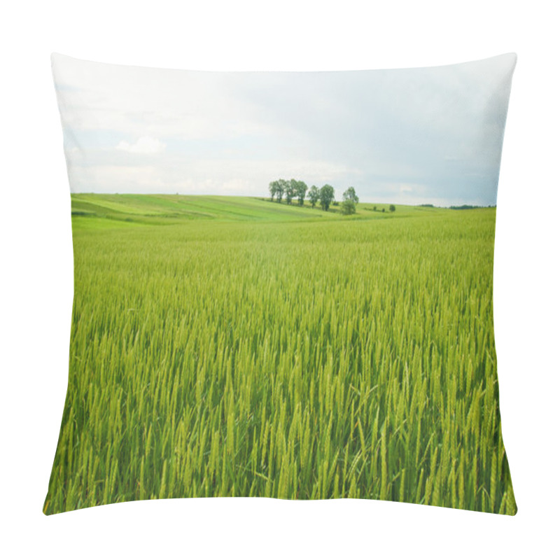 Personality  Rural Landscape Of Poland. Pillow Covers