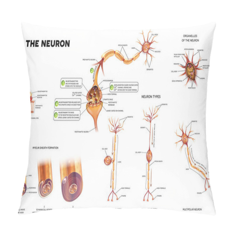 Personality  The Neuron Anatomy Poster Pillow Covers