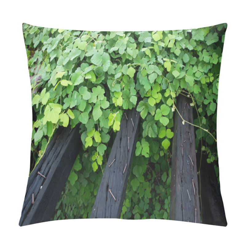 Personality  Kudzu, An Invasive Japanese Vine Growing Near The Mississippi River In Baton Rouge, Louisiana, USA Pillow Covers