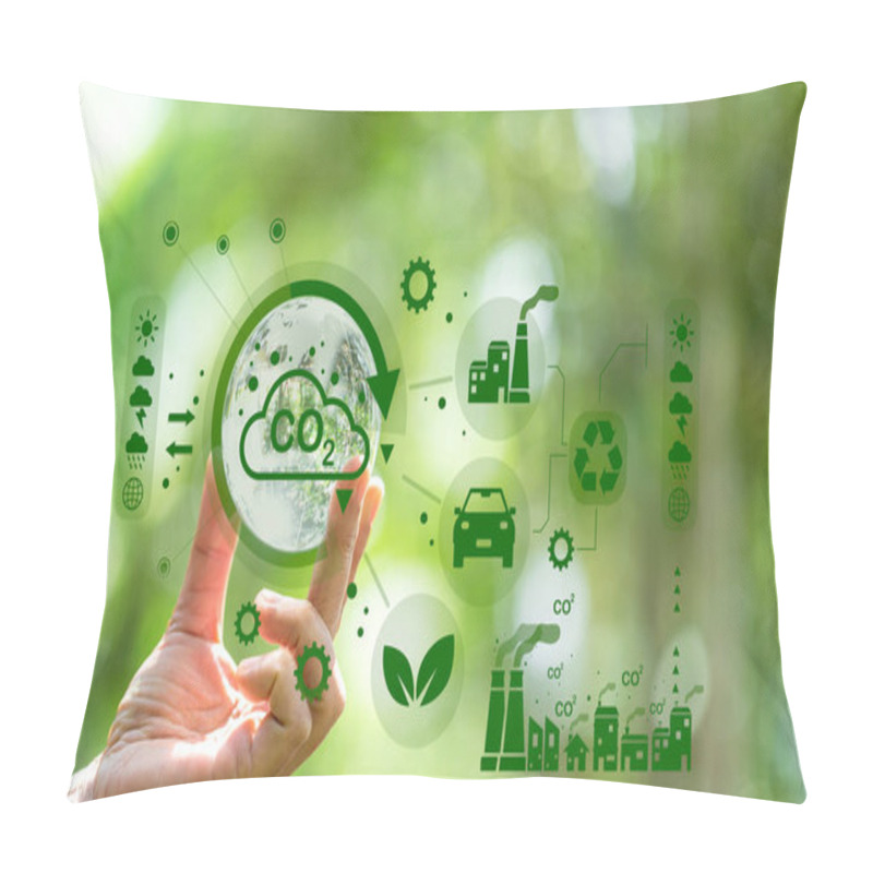 Personality  Developing Sustainable CO2 Concepts And Low Reduce CO2 Emissions And Carbon Footprint To Limit Global Warming And Climate Change. Sustainable Environmental Management, Greenhouse From Renewable Energy Pillow Covers