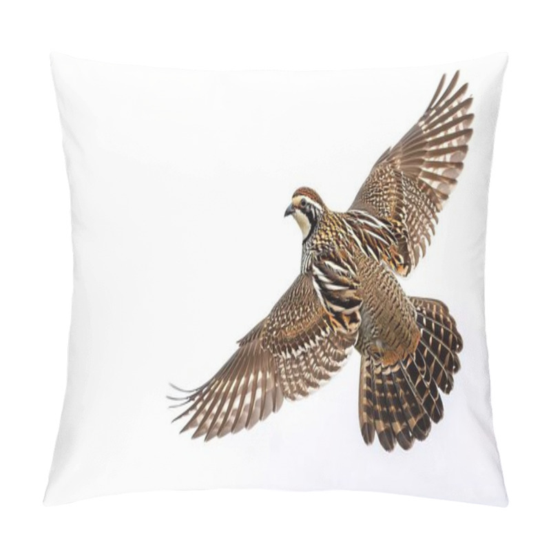 Personality  Male Northern Bobwhite Quail - Colinus Virginianus - Flying In Flight With Wings Open And Extended Isolated Cutout On White Background With Copy Space Pillow Covers