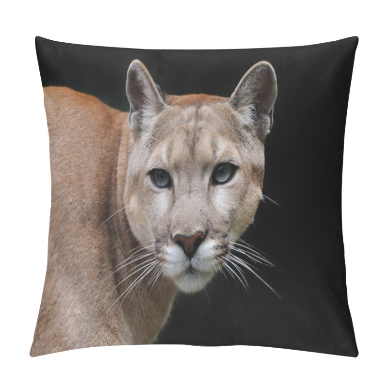 Personality  Puma Pillow Covers