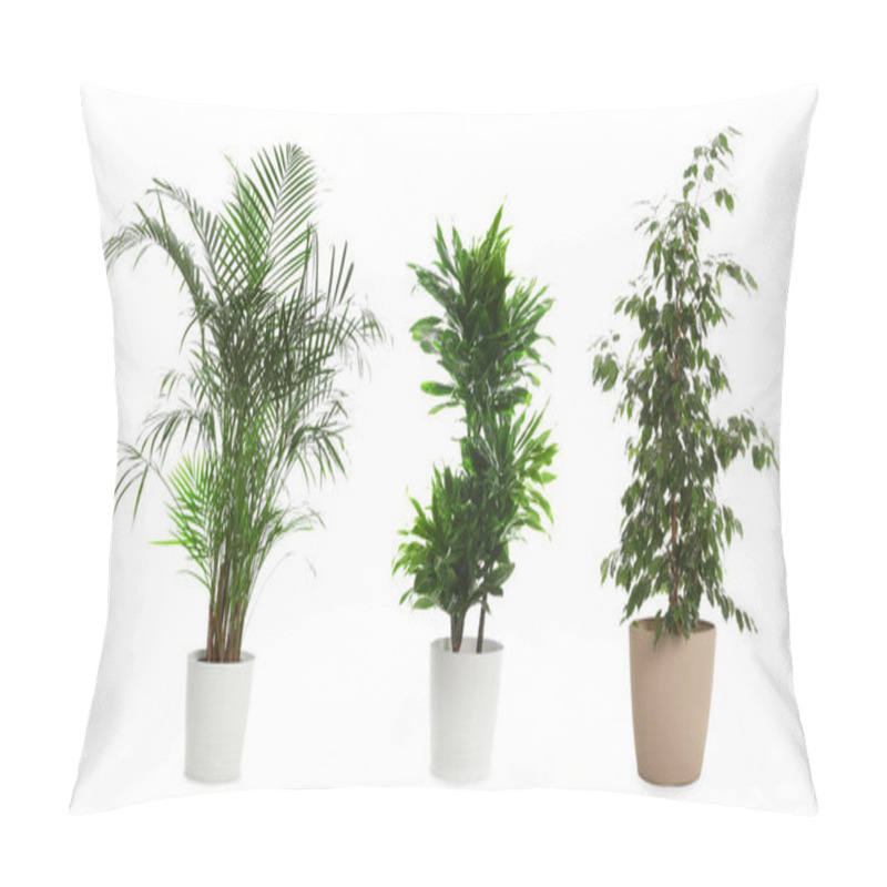 Personality  Set Of Different Houseplants In Flower Pots On White Background. Banner Design  Pillow Covers