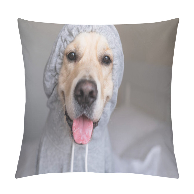 Personality  Dog In A Gray Sweatshirt With A Hood. Golden Retriever In Clothes Sitting On The Bed. Pillow Covers